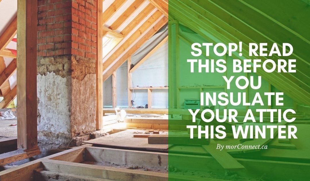 Stop! Read This Before You Insulate Your Attic This Winter